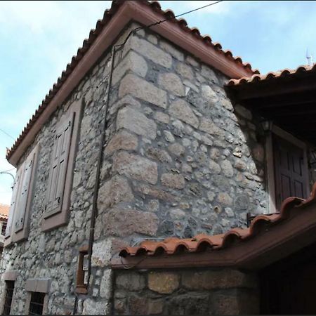 Wood And Stone In The Path Of Lava Villa Antissa Exterior photo