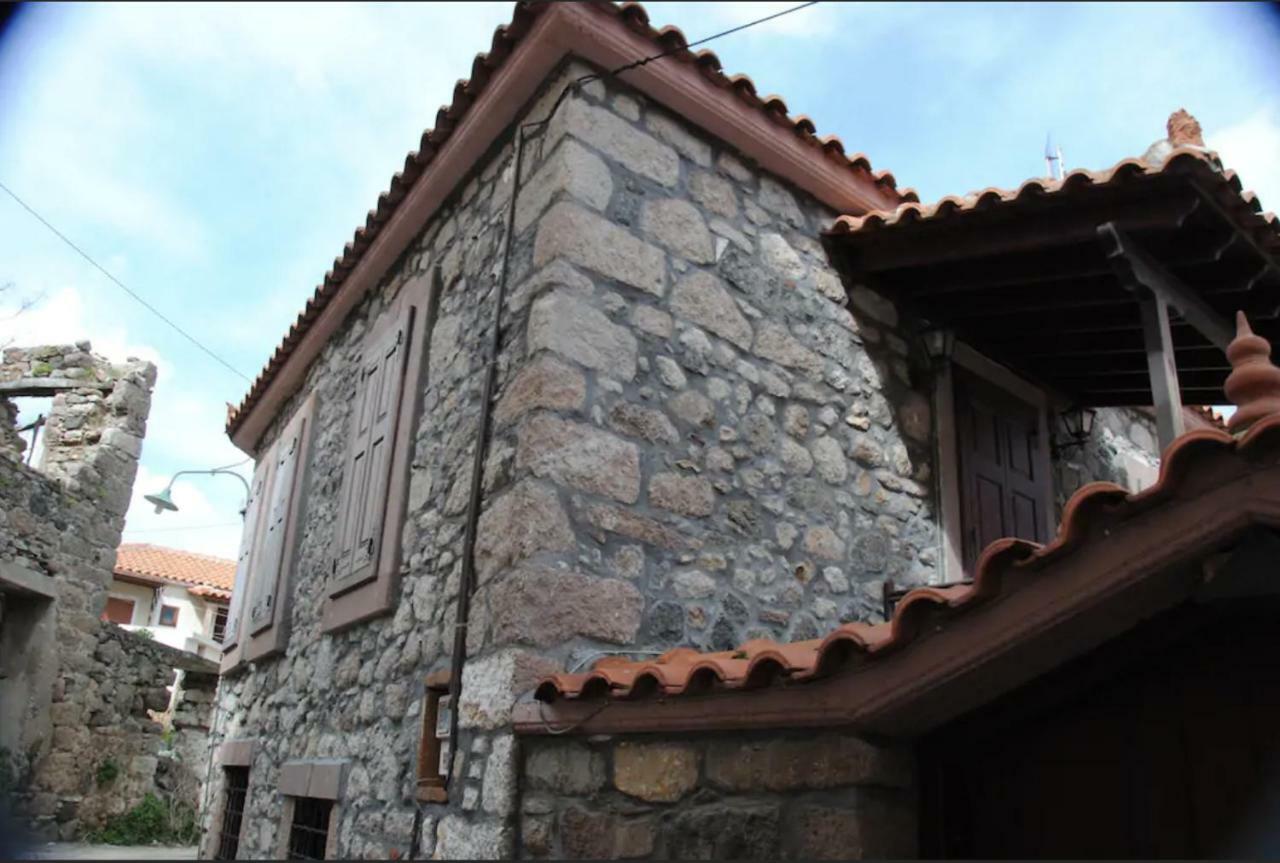 Wood And Stone In The Path Of Lava Villa Antissa Exterior photo